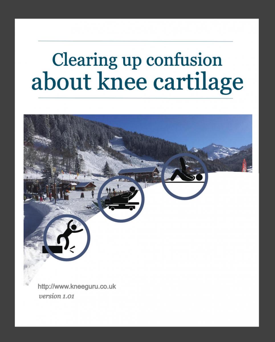 Clearing up confusion about knee cartilage